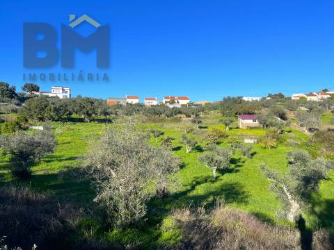 Quintinha  Venda em Perais,Vila Velha de Rodão