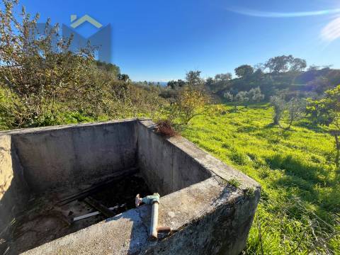 Quintinha  Venda em Perais,Vila Velha de Rodão