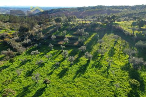 Quintinha  Venda em Perais,Vila Velha de Rodão