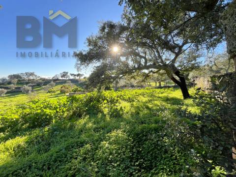 Quintinha  Venda em Perais,Vila Velha de Rodão
