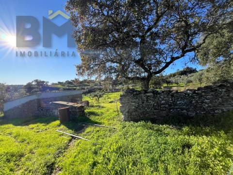 Quintinha  Venda em Perais,Vila Velha de Rodão