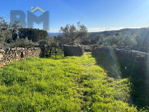 Quintinha  Venda em Perais,Vila Velha de Rodão