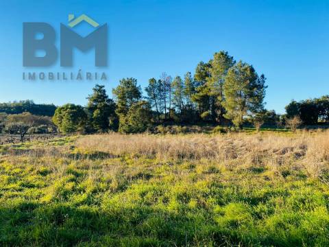 Terreno Para Construção  Venda em Póvoa de Rio de Moinhos e Cafede,Castelo Branco