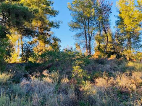 Terreno Para Construção  Venda em Póvoa de Rio de Moinhos e Cafede,Castelo Branco