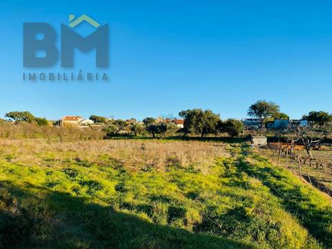 Terreno Para Construção  Venda em Póvoa de Rio de Moinhos e Cafede,Castelo Branco