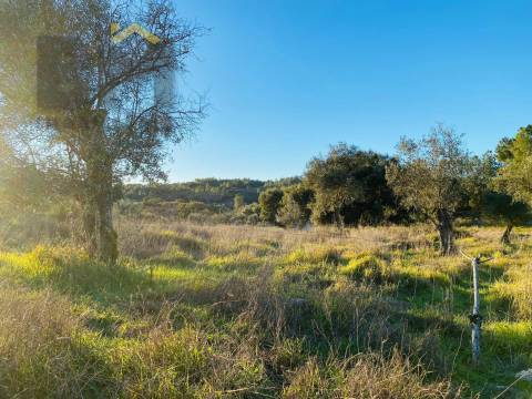 Terreno Para Construção  Venda em Póvoa de Rio de Moinhos e Cafede,Castelo Branco