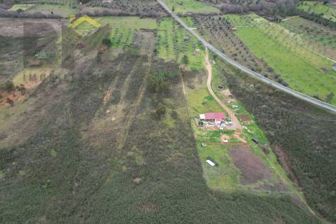 Terreno Rústico  Venda em Freixial e Juncal do Campo,Castelo Branco