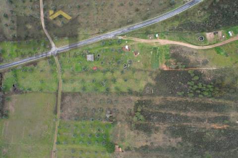 Terreno Rústico  Venda em Freixial e Juncal do Campo,Castelo Branco