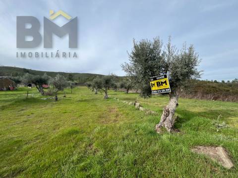 Terreno Rústico  Venda em Freixial e Juncal do Campo,Castelo Branco