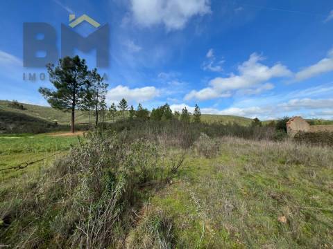 Terreno Rústico  Venda em Freixial e Juncal do Campo,Castelo Branco