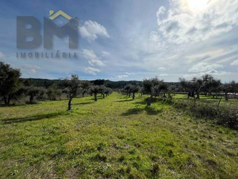 Terreno Rústico  Venda em Freixial e Juncal do Campo,Castelo Branco