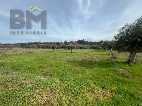 Terreno Rústico  Venda em Freixial e Juncal do Campo,Castelo Branco