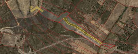 Terreno Rústico  Venda em Freixial e Juncal do Campo,Castelo Branco