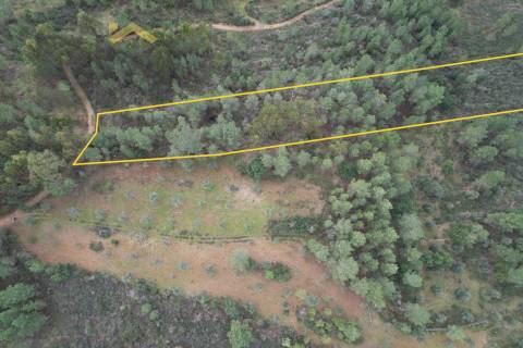 Terreno Rústico  Venda em Freixial e Juncal do Campo,Castelo Branco