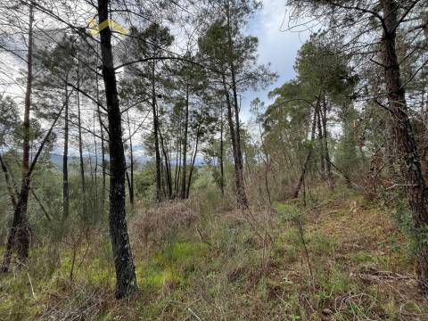 Terreno Rústico  Venda em Freixial e Juncal do Campo,Castelo Branco