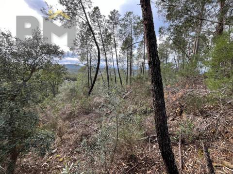 Terreno Rústico  Venda em Freixial e Juncal do Campo,Castelo Branco