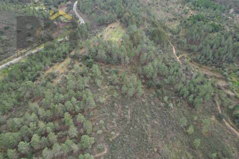 Terreno Rústico  Venda em Freixial e Juncal do Campo,Castelo Branco