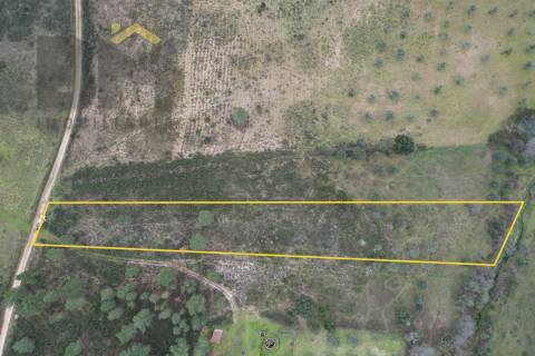 Terreno Rústico  Venda em Freixial e Juncal do Campo,Castelo Branco
