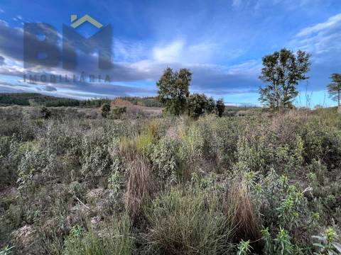 Terreno Rústico  Venda em Freixial e Juncal do Campo,Castelo Branco