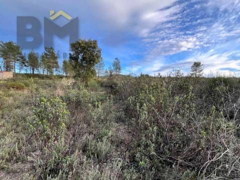 Terreno Rústico  Venda em Freixial e Juncal do Campo,Castelo Branco