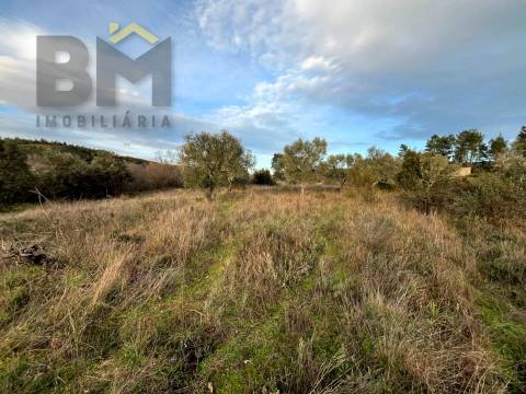 Terreno Rústico  Venda em Freixial e Juncal do Campo,Castelo Branco