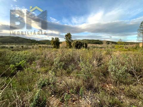 Terreno Rústico  Venda em Freixial e Juncal do Campo,Castelo Branco