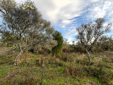 Terreno Rústico  Venda em Freixial e Juncal do Campo,Castelo Branco