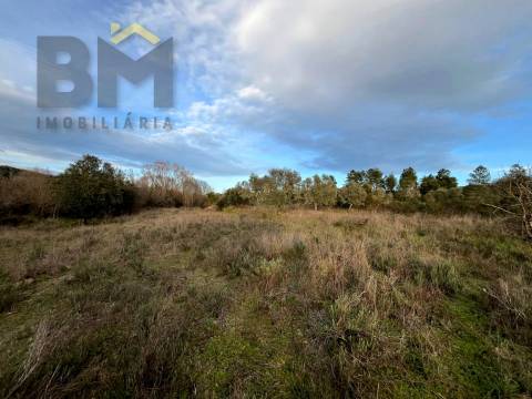 Terreno Rústico  Venda em Freixial e Juncal do Campo,Castelo Branco