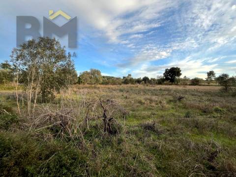 Terreno Rústico  Venda em Freixial e Juncal do Campo,Castelo Branco