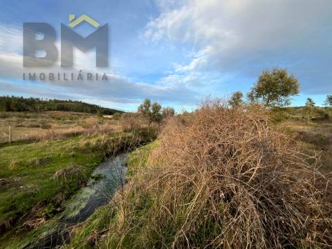 Terreno Rústico  Venda em Freixial e Juncal do Campo,Castelo Branco