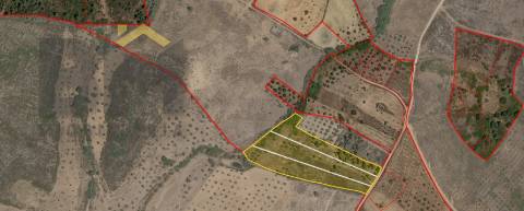 Terreno Rústico  Venda em Freixial e Juncal do Campo,Castelo Branco