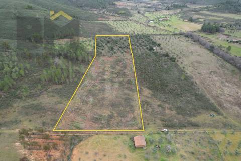 Terreno Rústico  Venda em Freixial e Juncal do Campo,Castelo Branco