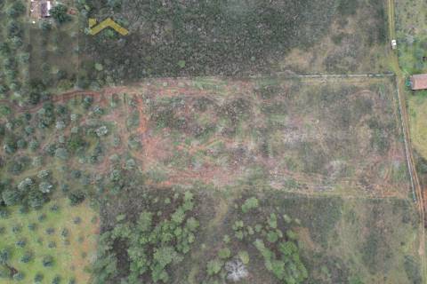 Terreno Rústico  Venda em Freixial e Juncal do Campo,Castelo Branco