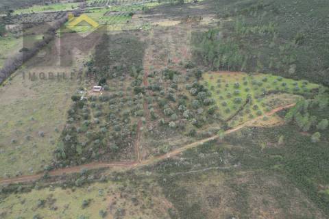 Terreno Rústico  Venda em Freixial e Juncal do Campo,Castelo Branco