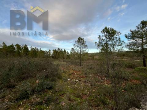 Terreno Rústico  Venda em Freixial e Juncal do Campo,Castelo Branco