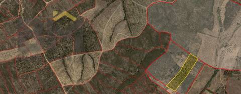 Terreno Rústico  Venda em Freixial e Juncal do Campo,Castelo Branco