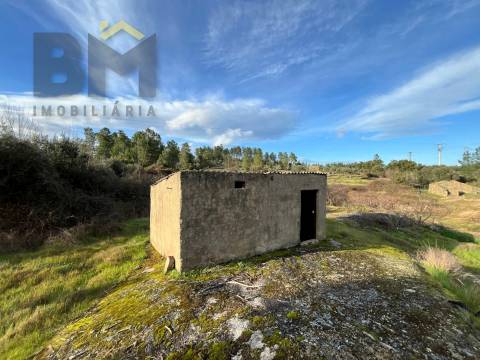 Terreno Rústico  Venda em Freixial e Juncal do Campo,Castelo Branco