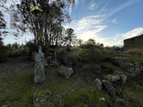 Terreno Rústico  Venda em Freixial e Juncal do Campo,Castelo Branco