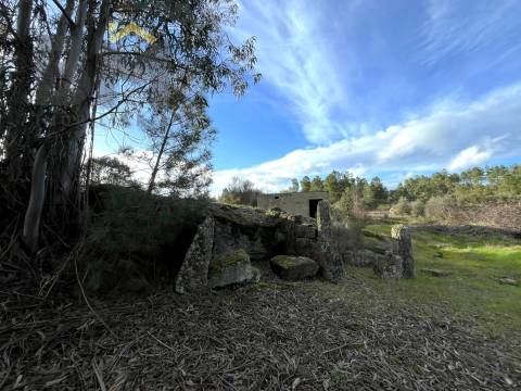 Terreno Rústico  Venda em Freixial e Juncal do Campo,Castelo Branco