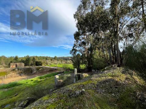 Terreno Rústico  Venda em Freixial e Juncal do Campo,Castelo Branco