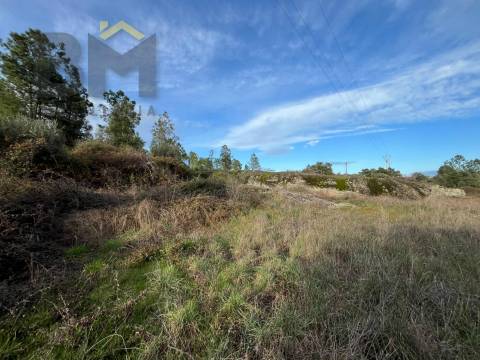 Terreno Rústico  Venda em Freixial e Juncal do Campo,Castelo Branco