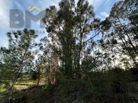 Terreno Rústico  Venda em Freixial e Juncal do Campo,Castelo Branco