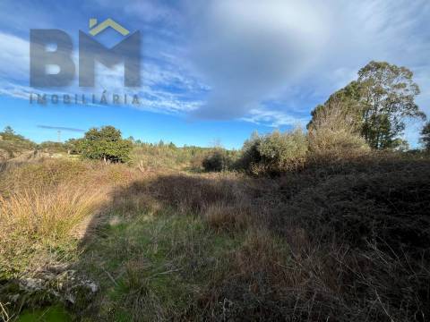 Terreno Rústico  Venda em Freixial e Juncal do Campo,Castelo Branco
