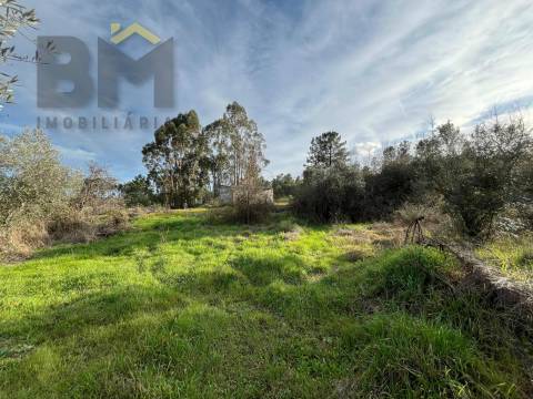 Terreno Rústico  Venda em Freixial e Juncal do Campo,Castelo Branco