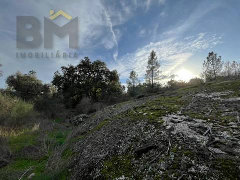 Terreno Rústico  Venda em Freixial e Juncal do Campo,Castelo Branco