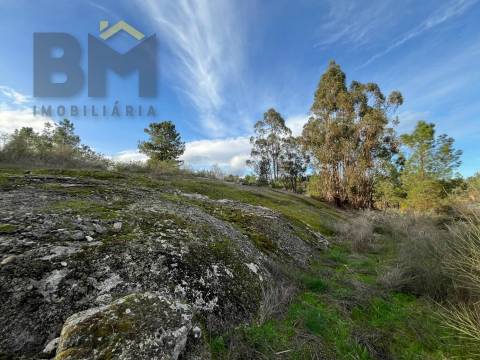 Terreno Rústico  Venda em Freixial e Juncal do Campo,Castelo Branco