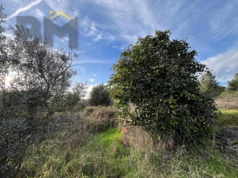 Terreno Rústico  Venda em Freixial e Juncal do Campo,Castelo Branco