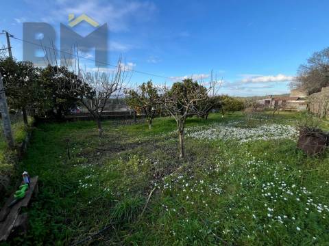 Moradia T2 Venda em Salgueiro do Campo,Castelo Branco