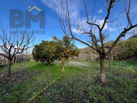 Moradia T2 Venda em Salgueiro do Campo,Castelo Branco