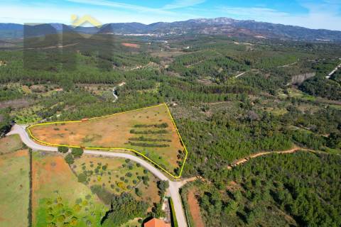 Terreno Rústico  Venda em Ninho do Açor e Sobral do Campo,Castelo Branco